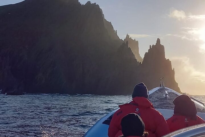 Dingle Boat Tours Wildlife RIB Adventure