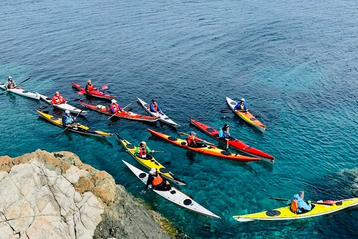 Elba Island Full Day Sea Kayak Tour