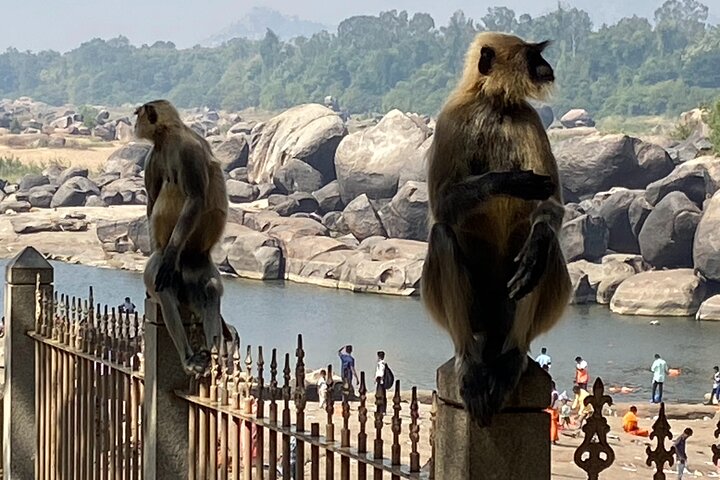 Hire a Licensed Guide for Fullday Hampi visit with own transport