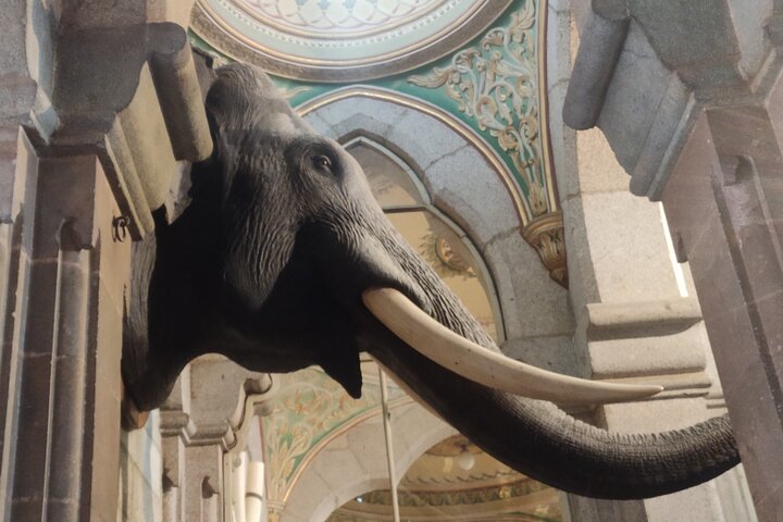 Mysore Palace + Jaganmohana Art Gallery + Devaraja Market = Mysore Heritage Walk