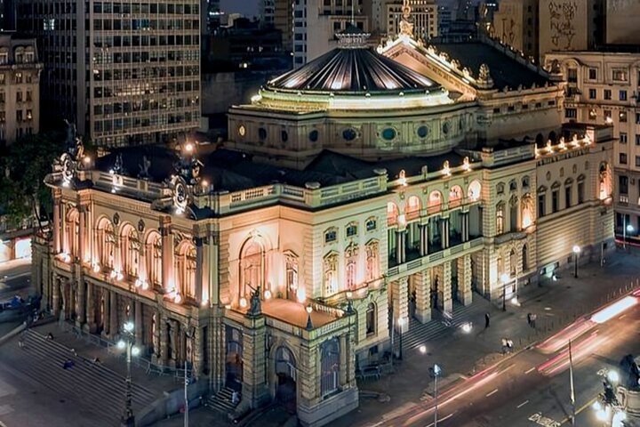 São Paulo Highlights Walking Tour with a Guide