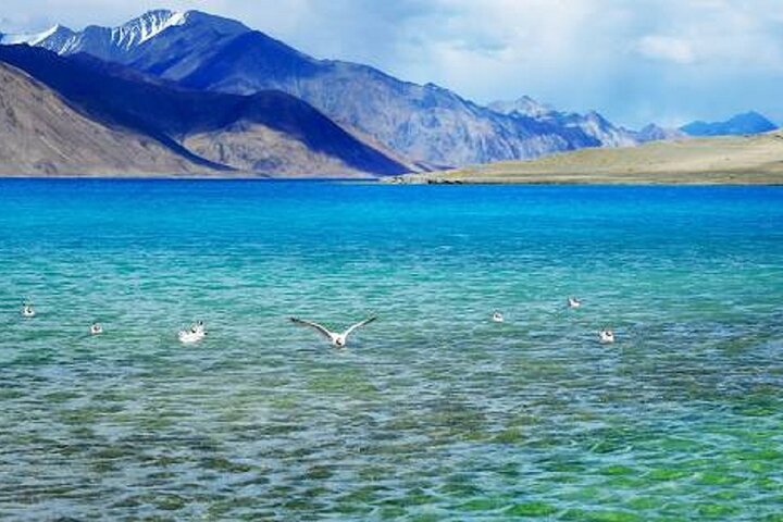 Overnight Pangong Tour From Leh With Thikse & Hemis Monasteries.