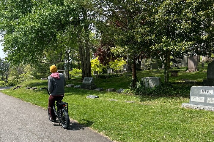 Guided Asheville E-bike Tour of River Arts, Mountains and Murals