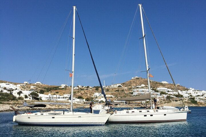 Mykonos Sail Cruise to Rhenia, Guided Tour of Delos, Lunch&Drinks