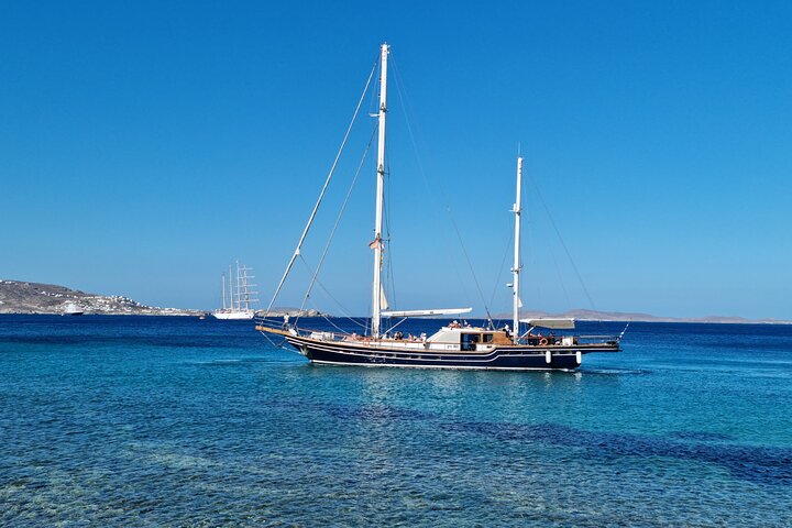 Mykonos Sail Cruise to Rhenia, Guided Tour of Delos, Lunch&Drinks