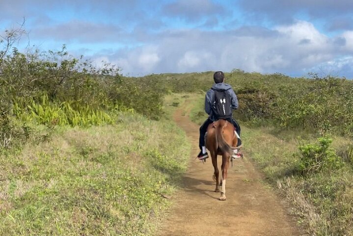 Sierra Negra Volcano Galapagos Horseback Riding & Hiking