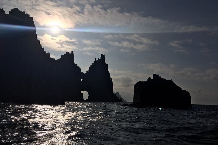 Dingle Boat Tours Wildlife RIB Adventure