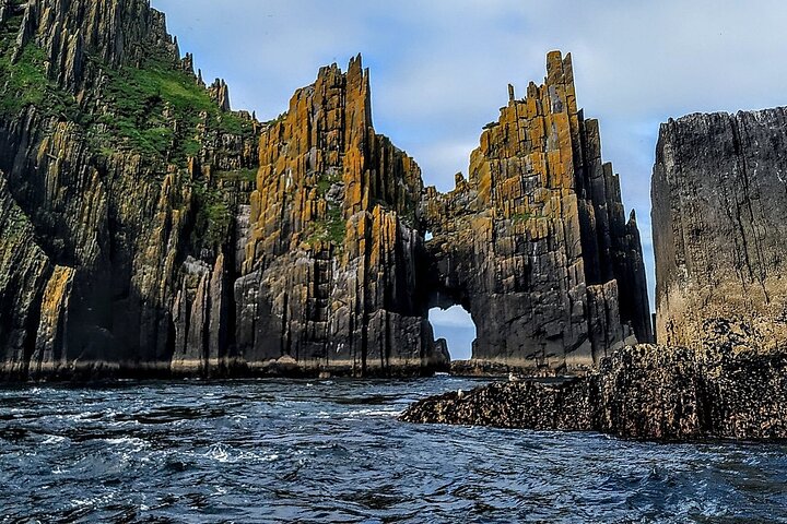 Dingle Boat Tours Wildlife RIB Adventure
