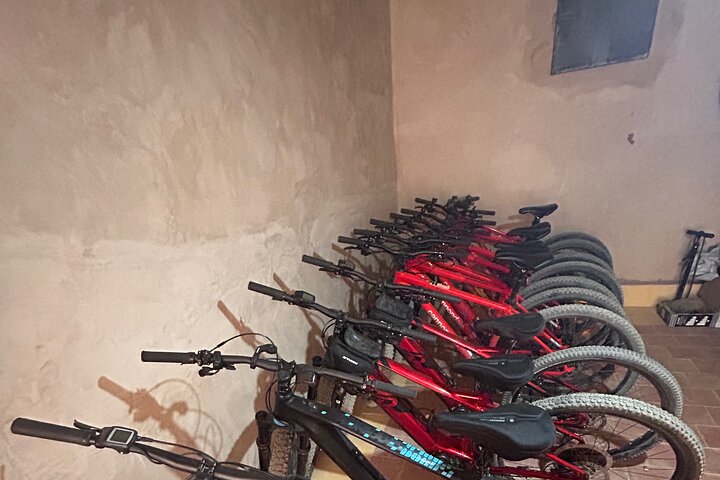 Private half-day mountain bike tour discover Palmeraie Skoura