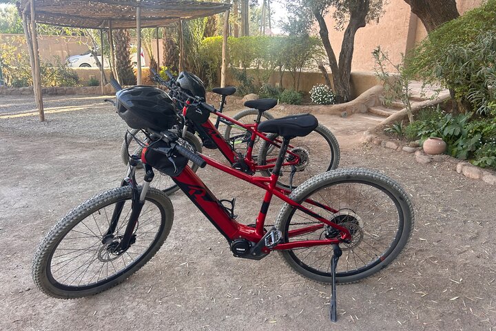 Private half-day mountain bike tour discover Palmeraie Skoura