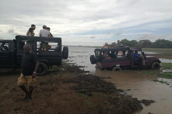 Minneriya National Park Safari Private Jeep with Hotel Pickup