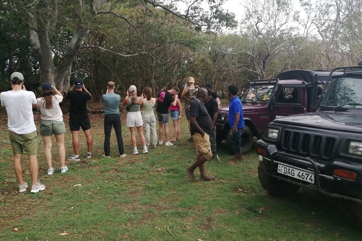 Minneriya National Park Safari Private Jeep with Hotel Pickup