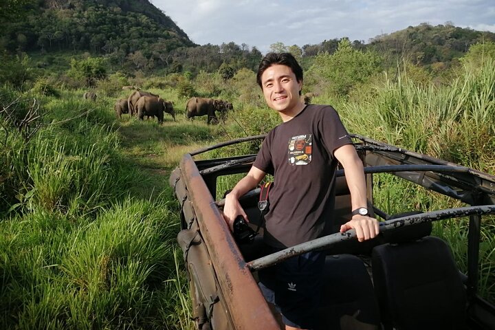 Minneriya National Park Safari Private Jeep with Hotel Pickup