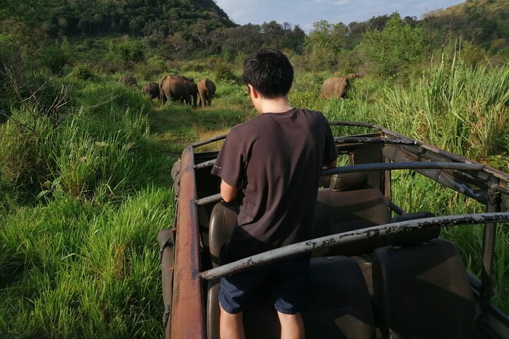 Minneriya National Park Safari Private Jeep with Hotel Pickup