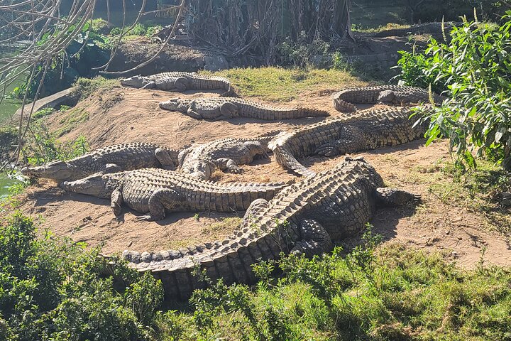 3-Day Private Tour to Andasibe National Park
