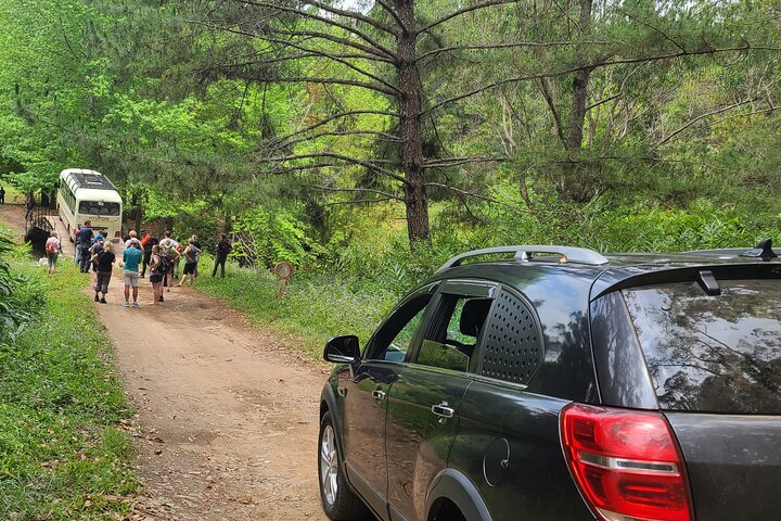 3-Day Private Tour to Andasibe National Park