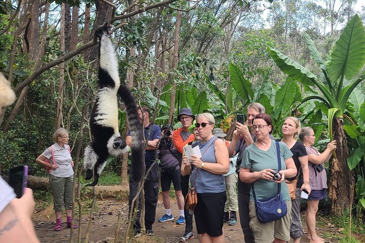 3-Day Private Tour to Andasibe National Park