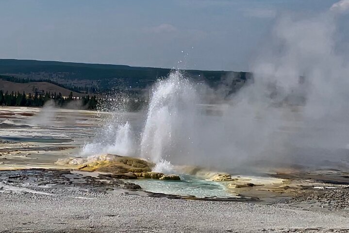 Yellowstone Hot Spots Lower Loop Tour From Cody Wy!