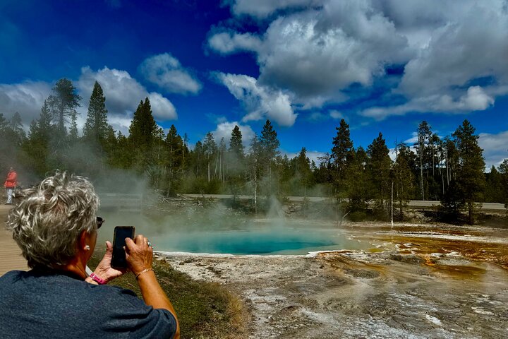 Yellowstone Hot Spots Lower Loop Tour From Cody Wy!