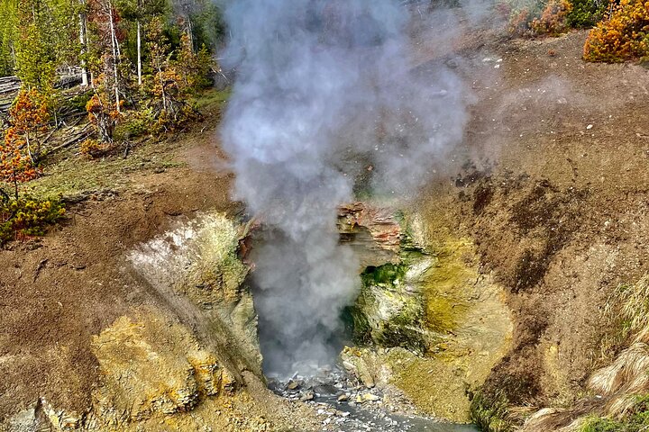 Yellowstone Hot Spots Lower Loop Tour From Cody Wy!