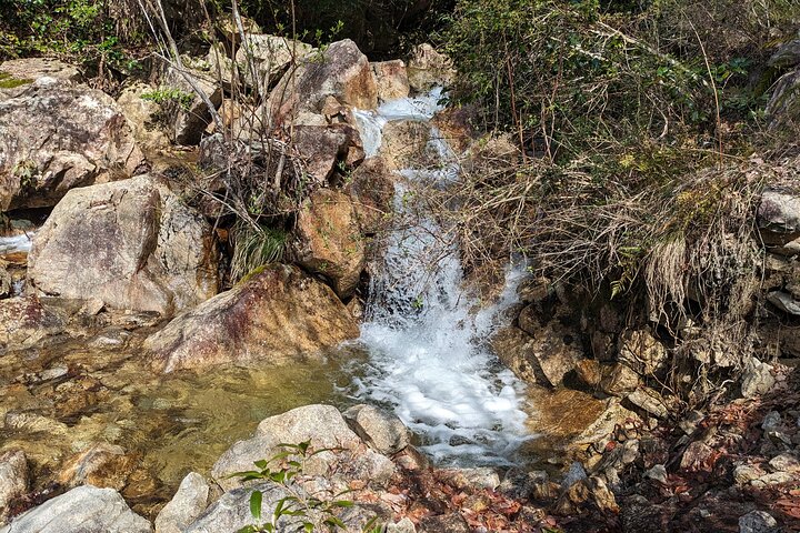 Private 3 Hours Waterfalls Sightseeing Tour