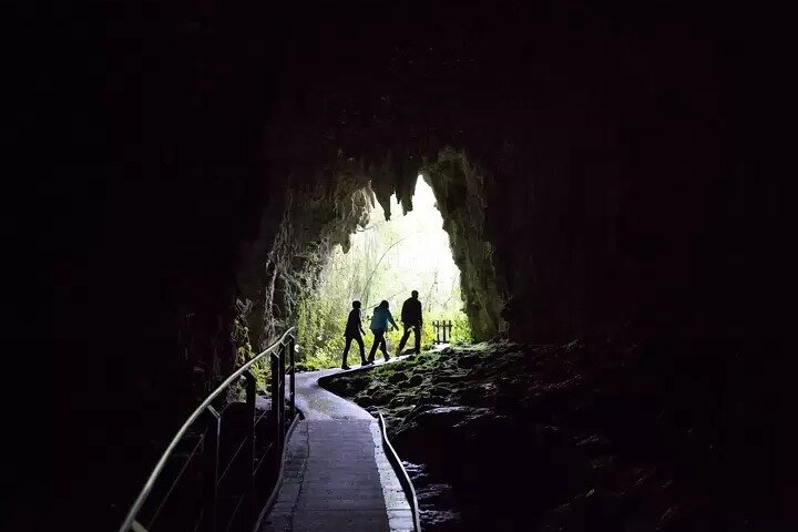 From Auckland: Spellbound, Waitomo Glowworm Cave Small Group Tour
