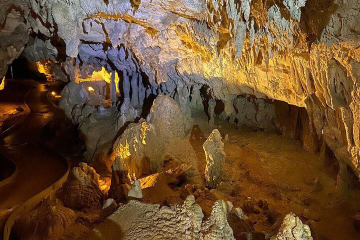 From Auckland: Spellbound, Waitomo Glowworm Cave Small Group Tour