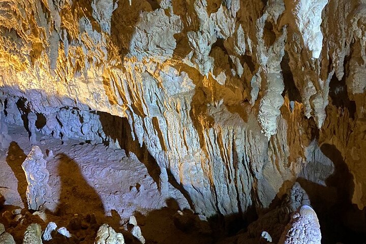 From Auckland: Spellbound, Waitomo Glowworm Cave Small Group Tour