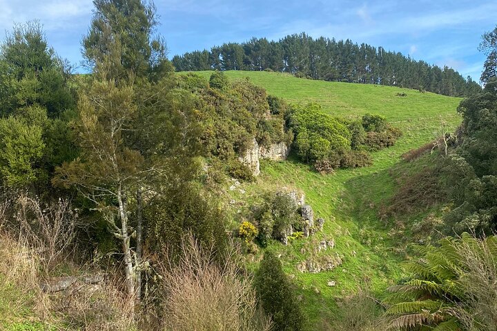 From Auckland: Spellbound, Waitomo Glowworm Cave Small Group Tour