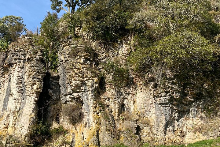From Auckland: Spellbound, Waitomo Glowworm Cave Small Group Tour