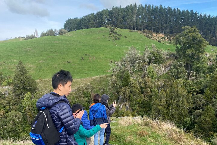 From Auckland: Spellbound, Waitomo Glowworm Cave Small Group Tour