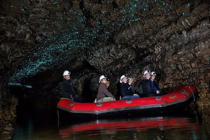 From Auckland: Spellbound, Waitomo Glowworm Cave Small Group Tour