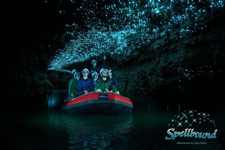 Hamilton : Spellbound Glowworm & Cave Explorer Small Group Tour