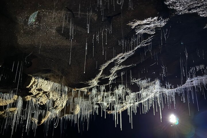 From Auckland: Spellbound, Waitomo Glowworm Cave Small Group Tour