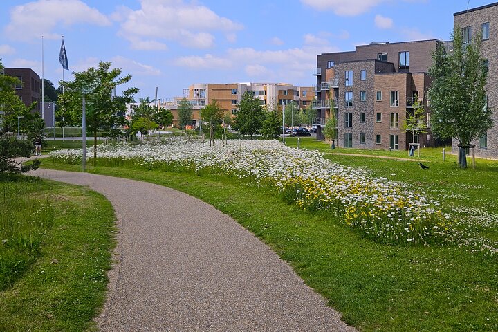 Two hour city tour through the new Odense