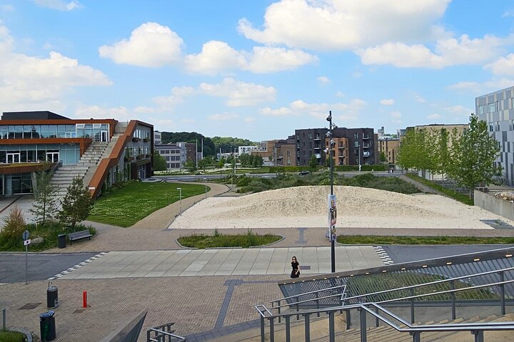Two hour city tour through the new Odense