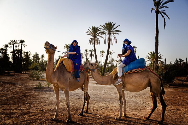 2 Hours Private Camel Ride in Agadir