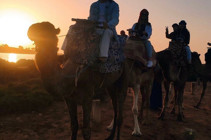 2 Hours Private Camel Ride in Agadir