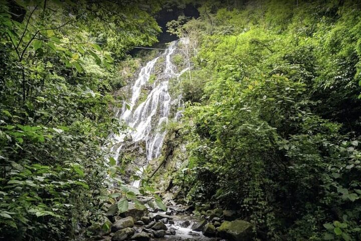 Valle De Anton Rainfall Hot Springs and Nature Private Tour