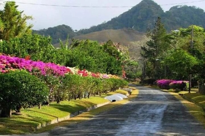 Valle De Anton Rainfall Hot Springs and Nature Private Tour