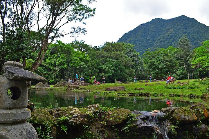 Valle De Anton Rainfall Hot Springs and Nature Private Tour