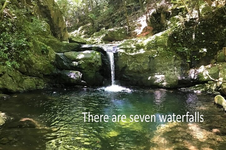 Mt. Inunaki Trekking and Hot Springs in Izumisano, Osaka