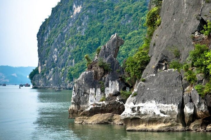 Explore 04 Hours Halong Bay Day Cruise Shore Excursion