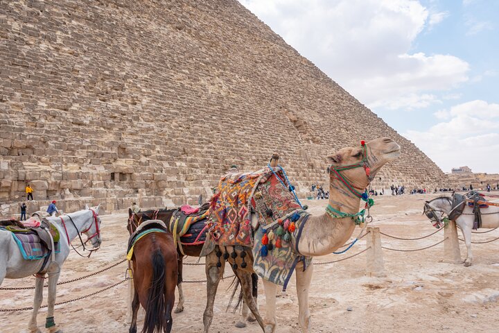 From El-Sokhna Port: Giza Pyramids and Museum, Private Day Tour.