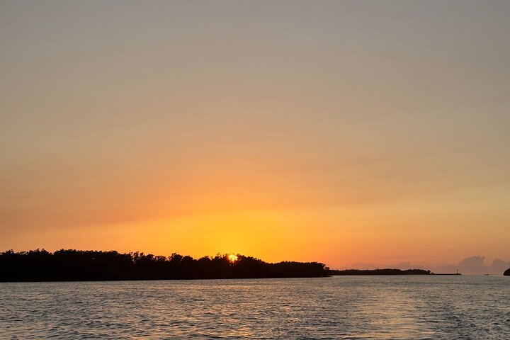 Boat tour in Río Lagartos Natural Reserve, with Food