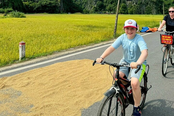 Full-Day Ninh Binh Highlights Tour from Hanoi