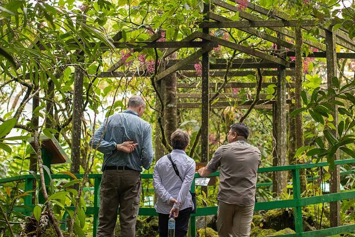Kinabalu Park & Poring Hot Springs Tour with Desa Dairy Farm