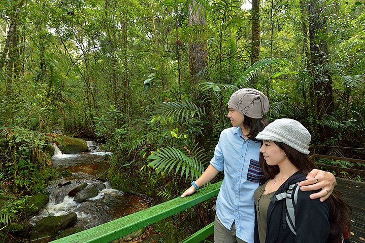 Kinabalu Park & Poring Hot Springs Tour with Desa Dairy Farm