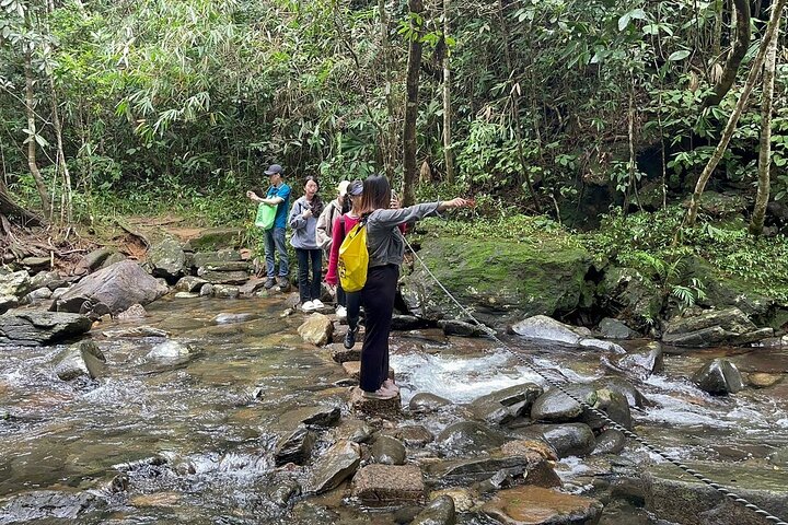 Luxury Bach Ma National Park Small Group Tour from Hue Da Nang