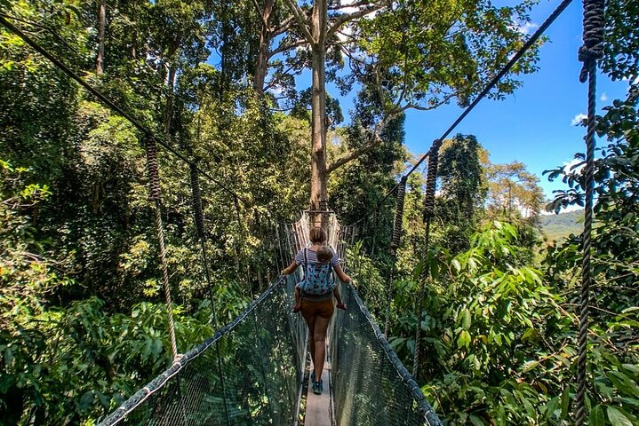 Kinabalu Park & Poring Hot Springs Tour with Desa Dairy Farm